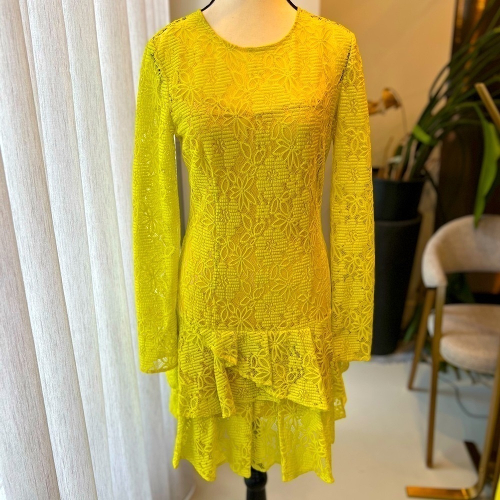 BCBGMAXAZRIA Embroidery Flower Lace Dress